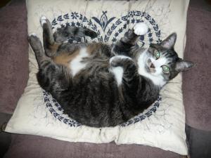 招き猫の岳やん! 招き猫の岳やん!